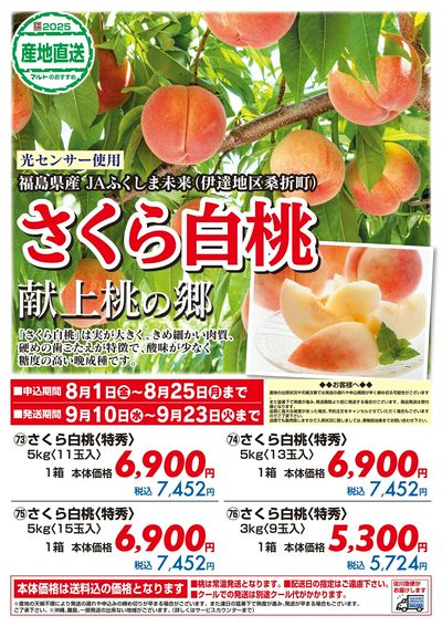 福島県産 JAふくしま未来(伊達地区桑折町) さくら白桃