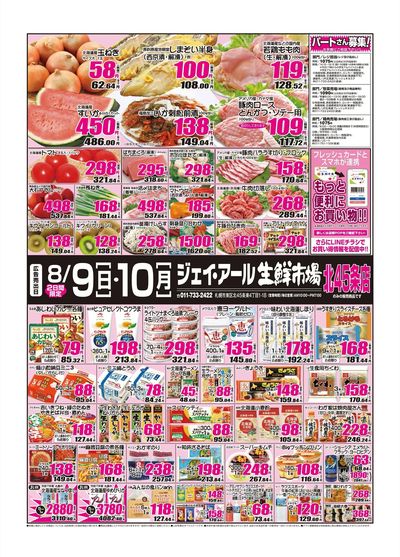 260809_10_45条チラシ