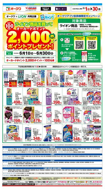 6月1日:ライオンフェアWEB