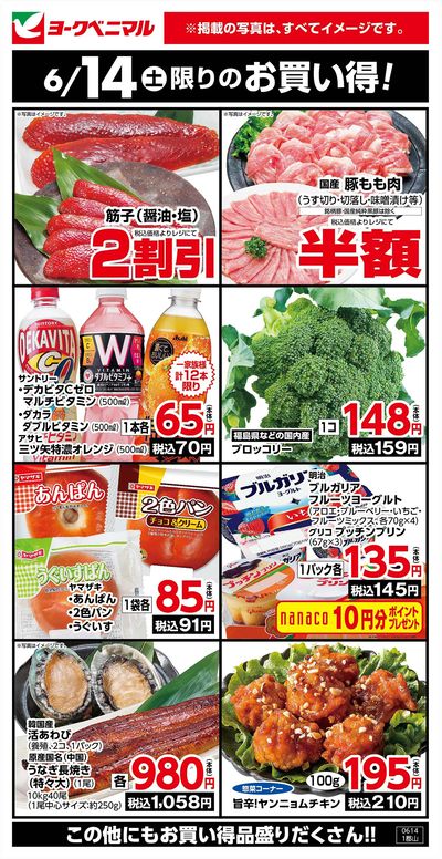 6/14限りのお買い得!
