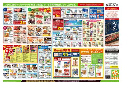 6/18号 ライフで涼を味わう/レモン特集