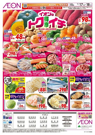 11/17号 イオンのトクイチ:表面