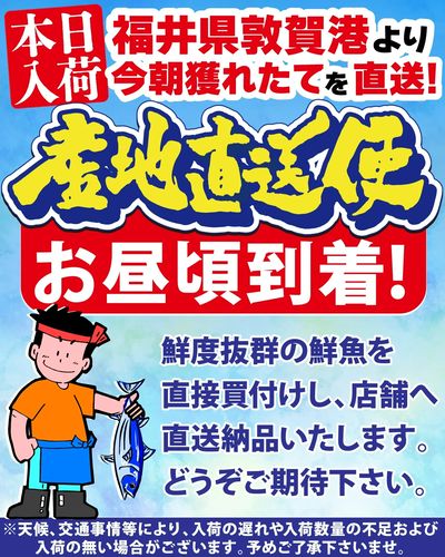 本日、福井県敦賀港より お魚の産地直送便が入荷いたします!