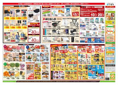 2/7号 総力祭/柑橘集めました