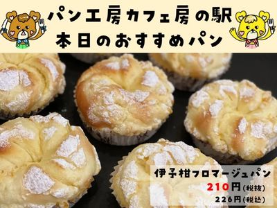 伊予柑フロマージュパン