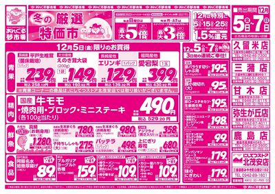 12/5冬の厳選特価市(表面)
