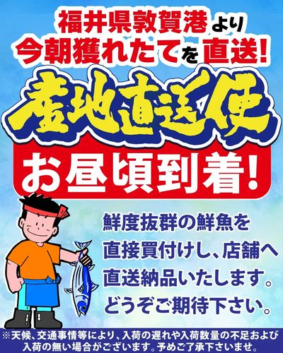 本日、福井県敦賀港より お魚の産地直送便が入荷いたします!