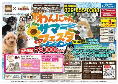 わんニャンサマーフェスタ(トモニー)