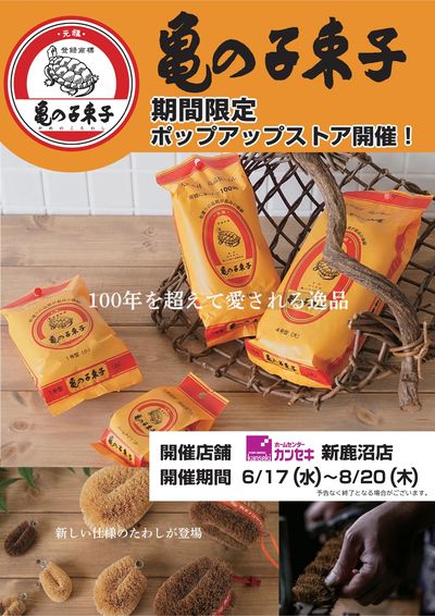 期間限定ポップアップストア開催!