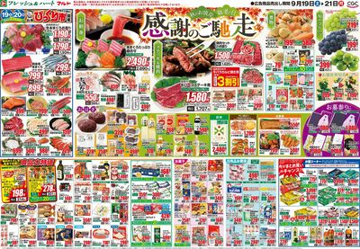 0921号-茨城裏