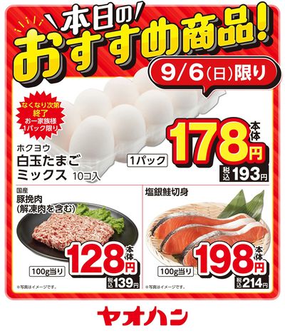 本日のおすすめ商品!