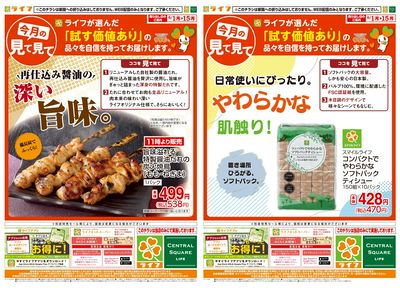 今月の見て見て