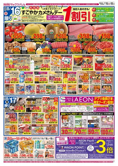 8/16号 カメさんデー/火水曜市:オモテ