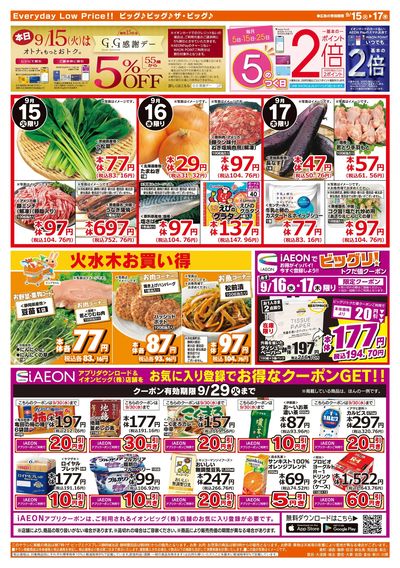 9月15日号均一チラシ(うら)