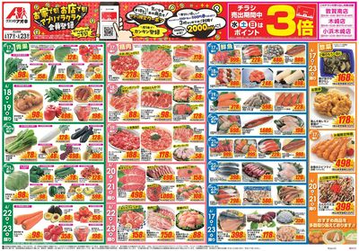 6月17日開始チラシ:表