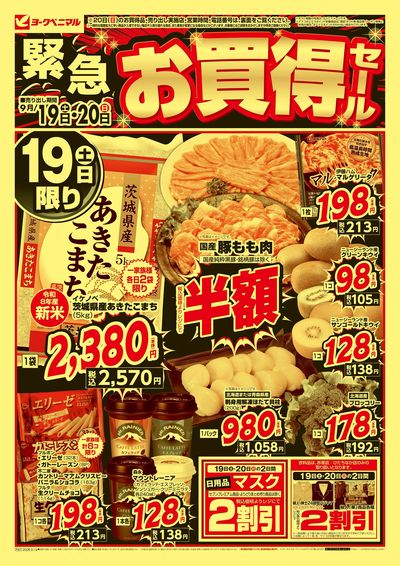 緊急 お買得セール オモテ