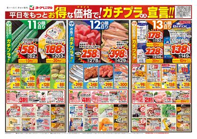 11/11号 オモテ