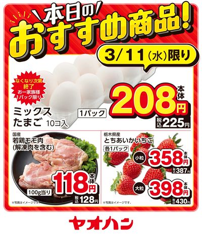 本日のおすすめ商品!