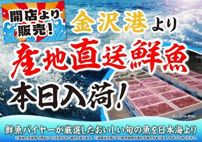 本日開店より「 金沢港 産地直送鮮魚」販売いたします!鮮度抜群の美味しさをぜひご賞味ください!
