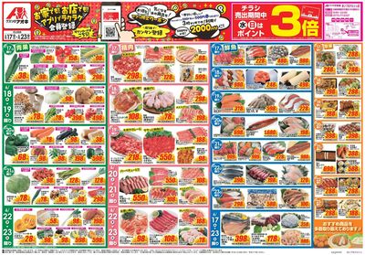6月17日開始チラシ:表