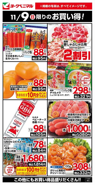 11/9限りのお買い得!