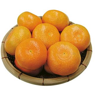 佐賀産 ハウスみかん 1パック