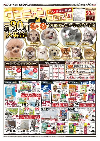 9月16日号チラシ 表面