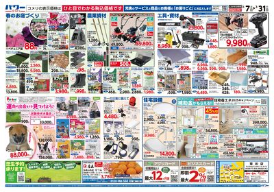 コメリパワー 3/7号 決算市 ウラ