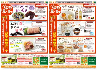 今月の見て見て