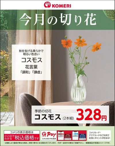 今月の切り花