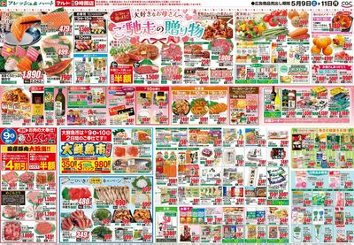 0509号-いわき裏