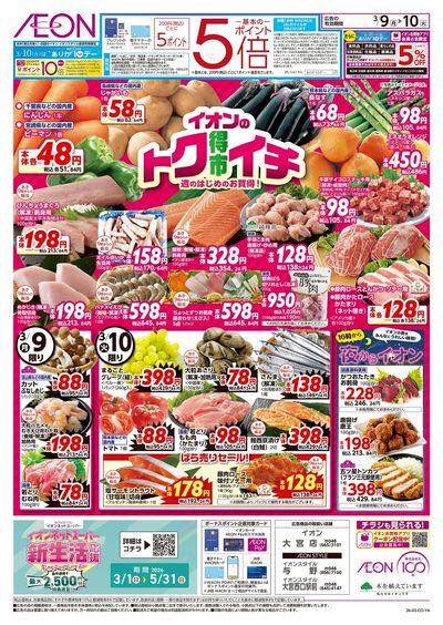 3/9号 イオンのトクイチ:表面