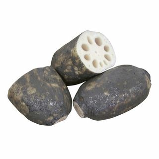 佐賀産 レンコン 100g当り