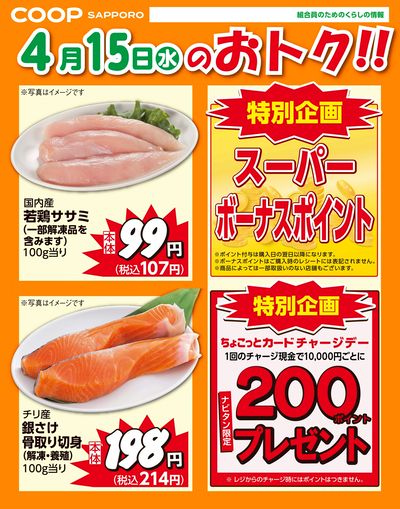 4月15日お買得品