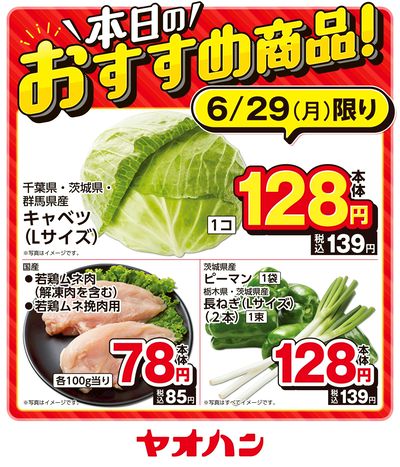 本日のおすすめ商品!