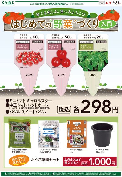 はじめての野菜づくり