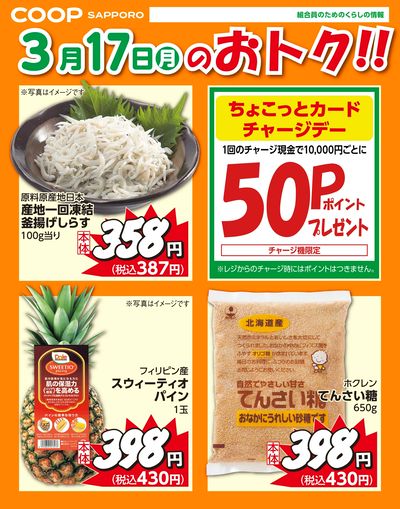 3月17日お買得品