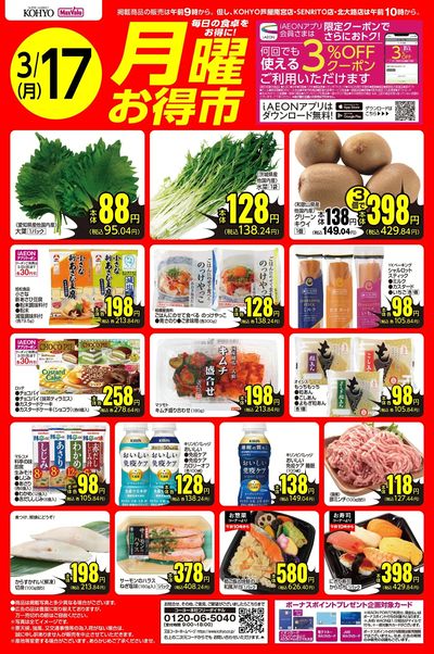 3/17  webチラシ