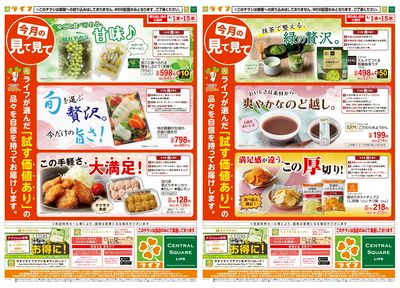 今月の見て見て