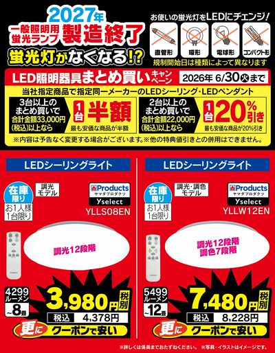 今週のお買い得品