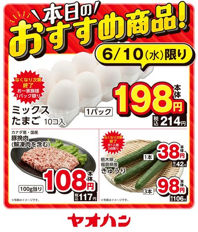 本日のおすすめ商品!