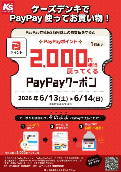 ケーズデンキでPayPay使ってお買い物!