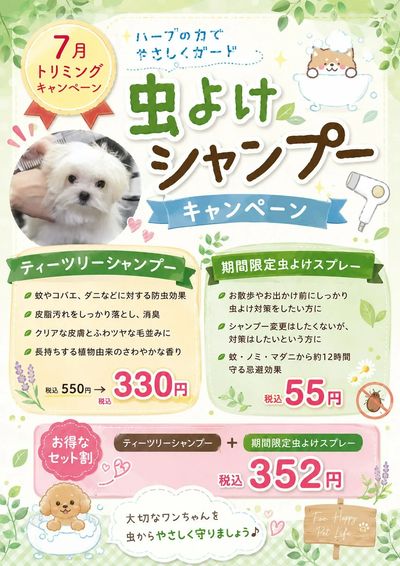 ムサシ須坂店おススメ情報!