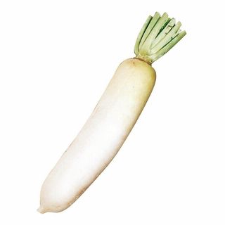 国内産 大根 1本