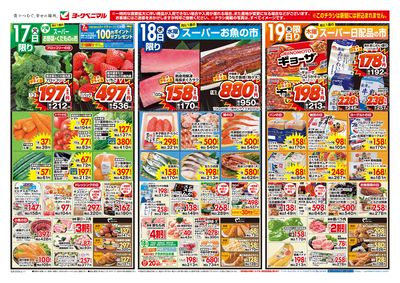 2/17号 オモテ