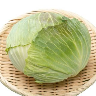 国内産 キャベツ 1玉