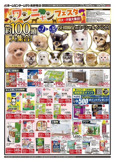 10月7日号チラシ 表面