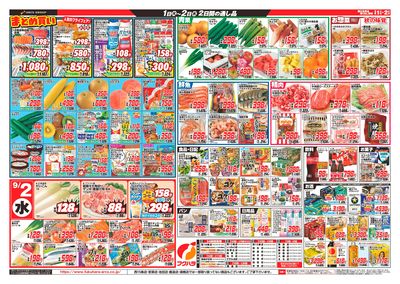 値下げしました】【バラ売り可】DIR FC会報 値下げしました】【バラ