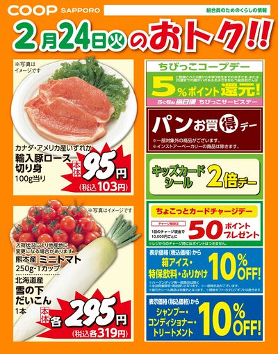 2月24日お買得品