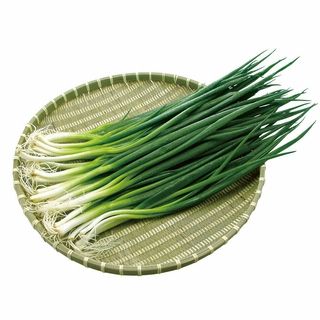 国内産 青ネギ 1袋